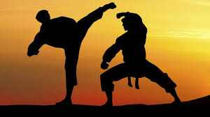 Judoka combat